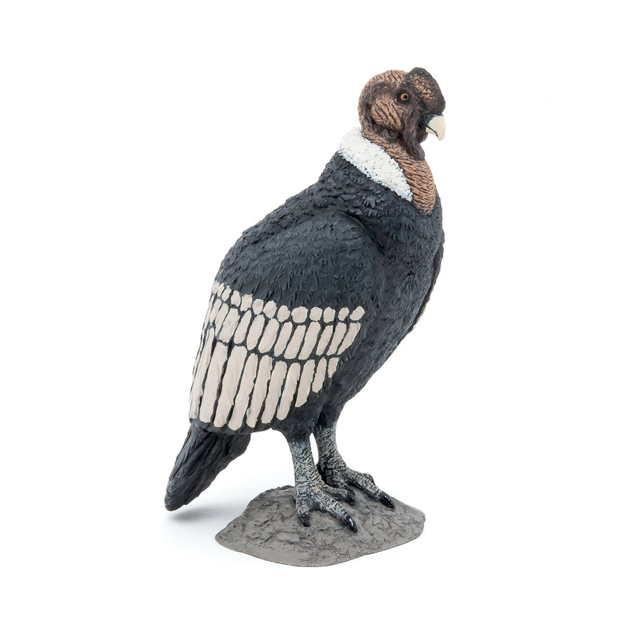 Figurine Condor Papo en PVC, thème oiseaux, Collection Animaux sauvages, jouet éducatif idéal pour enfants et collectionneurs