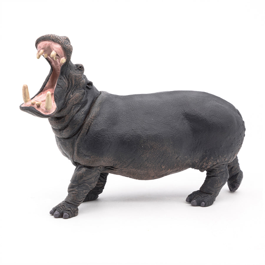 Figurine Hippopotame Papo en PVC, thème savane, Collection Animaux sauvages, jouet éducatif idéal pour enfants et collectionneurs