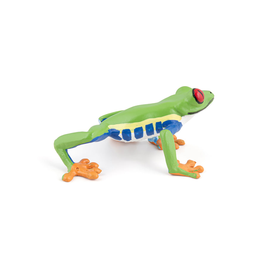 Rainette aux yeux rouges Papo en PVC, Collection Animaux sauvages, jouet éducatif idéal pour enfants et collectionneurs