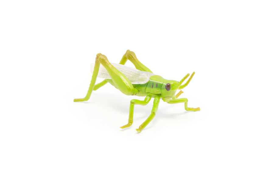 Figurine Sauterelle Papo en PVC, thème insectes, Collection Animaux des jardins, jouet éducatif idéal pour enfants et collectionneurs