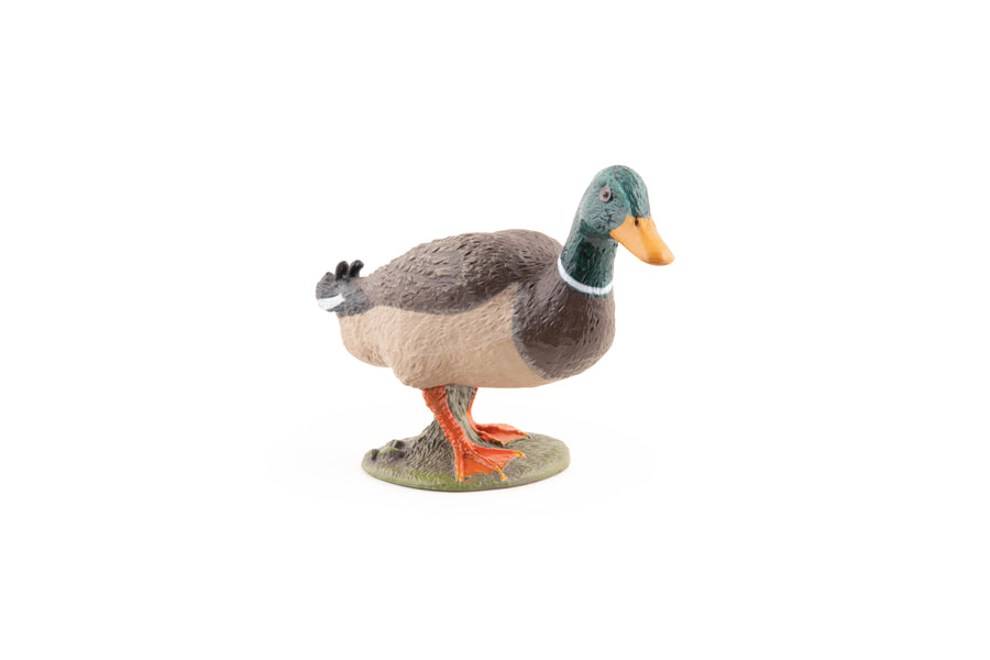 Figurine Canard colvert Papo en PVC, thème basse-cour, Collection Vie à la ferme, jouet éducatif idéal pour enfants et collectionneurs