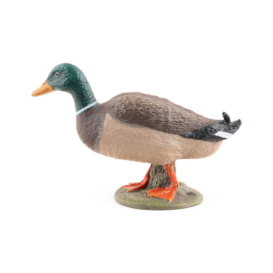 Figurine Canard colvert Papo en PVC, thème basse-cour, Collection Vie à la ferme, jouet éducatif idéal pour enfants et collectionneurs