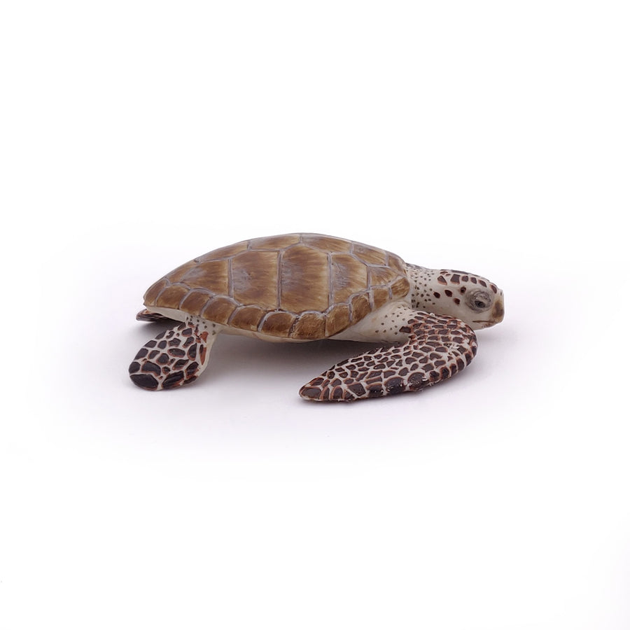Tortue caouanne Papo en PVC, Collection animaux marins, jouet éducatif idéal pour enfants et collectionneurs