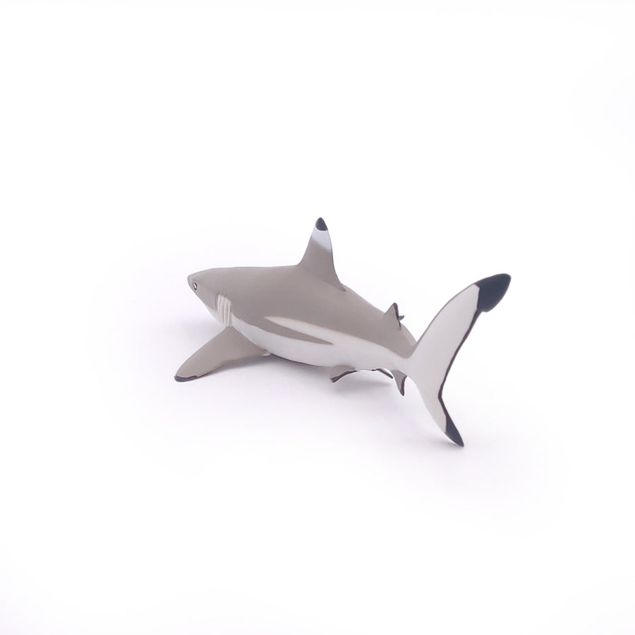 Figurine Requin à pointes noires Papo en PVC, Collection animaux marins, jouet éducatif idéal pour enfants et collectionneurs