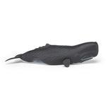 Cachalot Papo en PVC, Collection animaux marins, jouet éducatif idéal pour enfants et collectionneurs