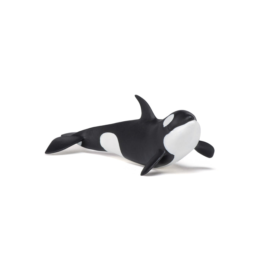 Figurine Bébé orque Papo en PVC, Collection animaux marins, jouet éducatif idéal pour enfants et collectionneurs